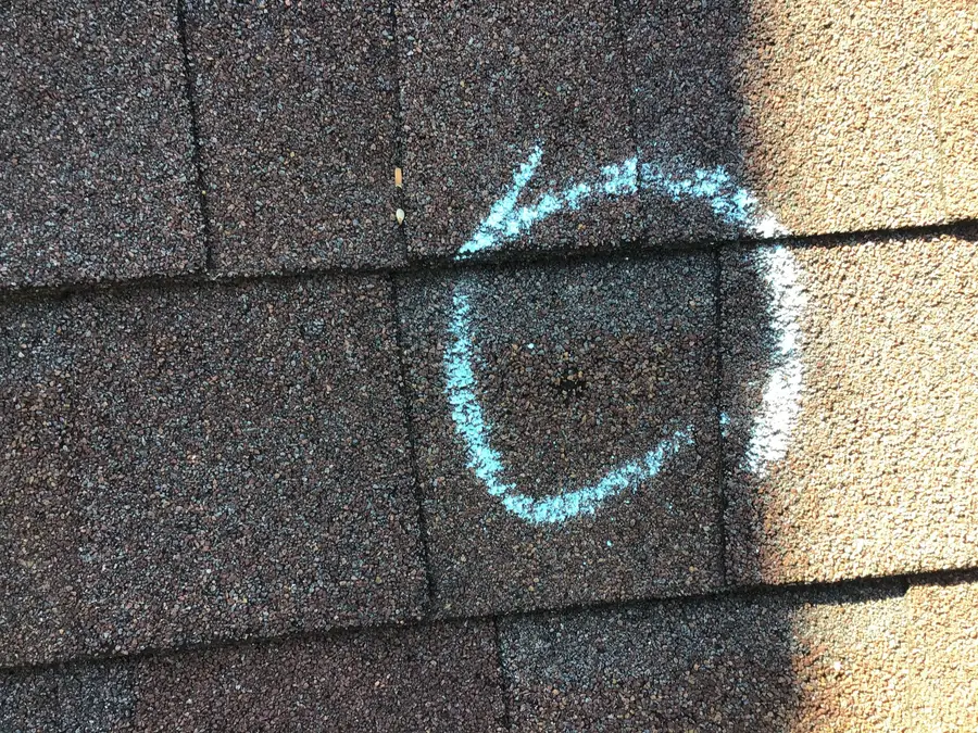Close-up of a hail-damaged shingle circled in blue and white chalk