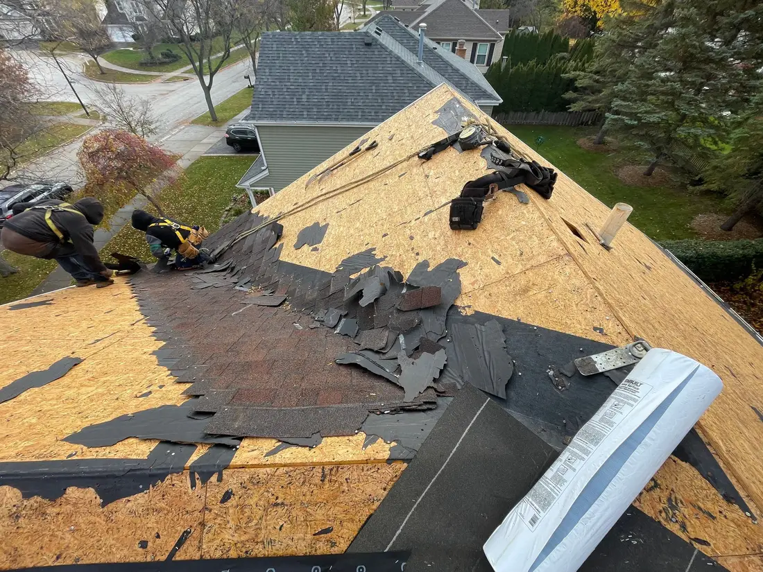 Torn shingles and felt being stripped from a roof deck, with a roller of underlayment at the edge